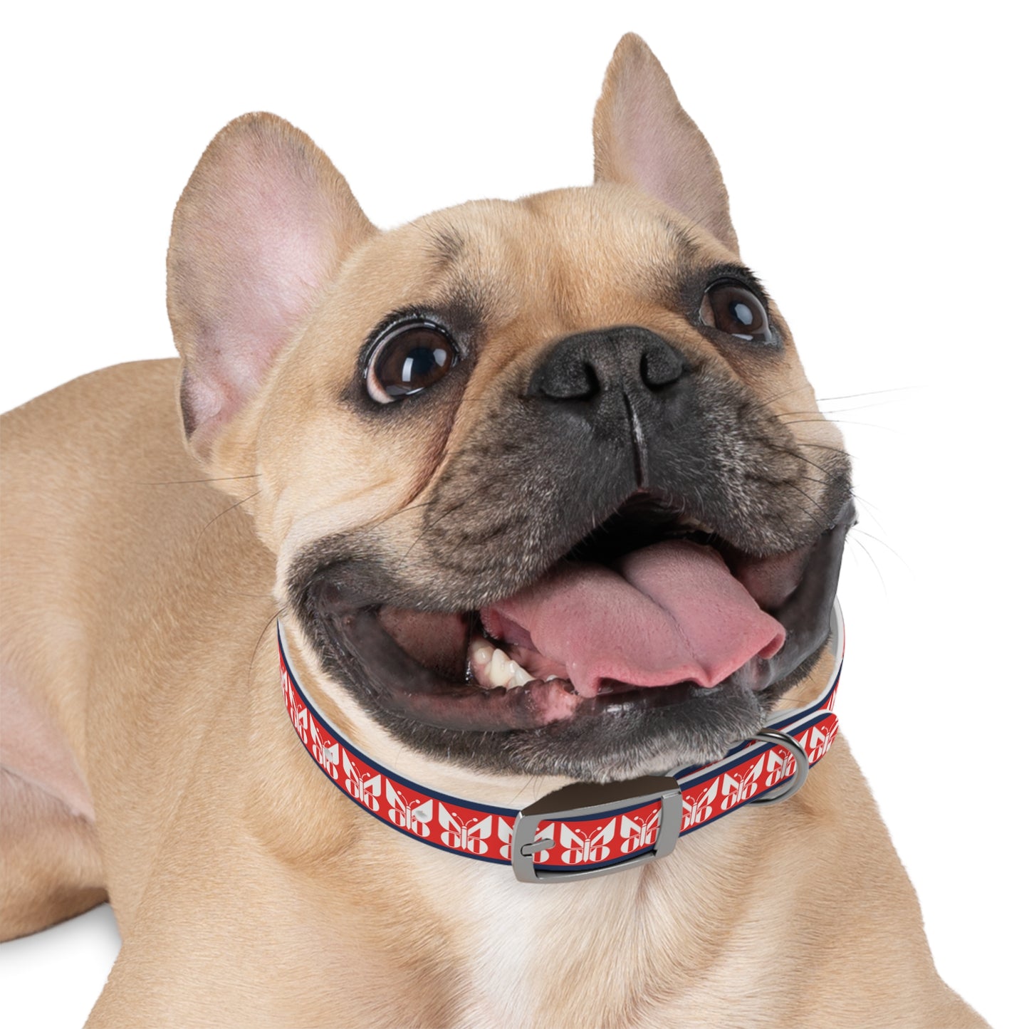 Monarch Dog Collar
