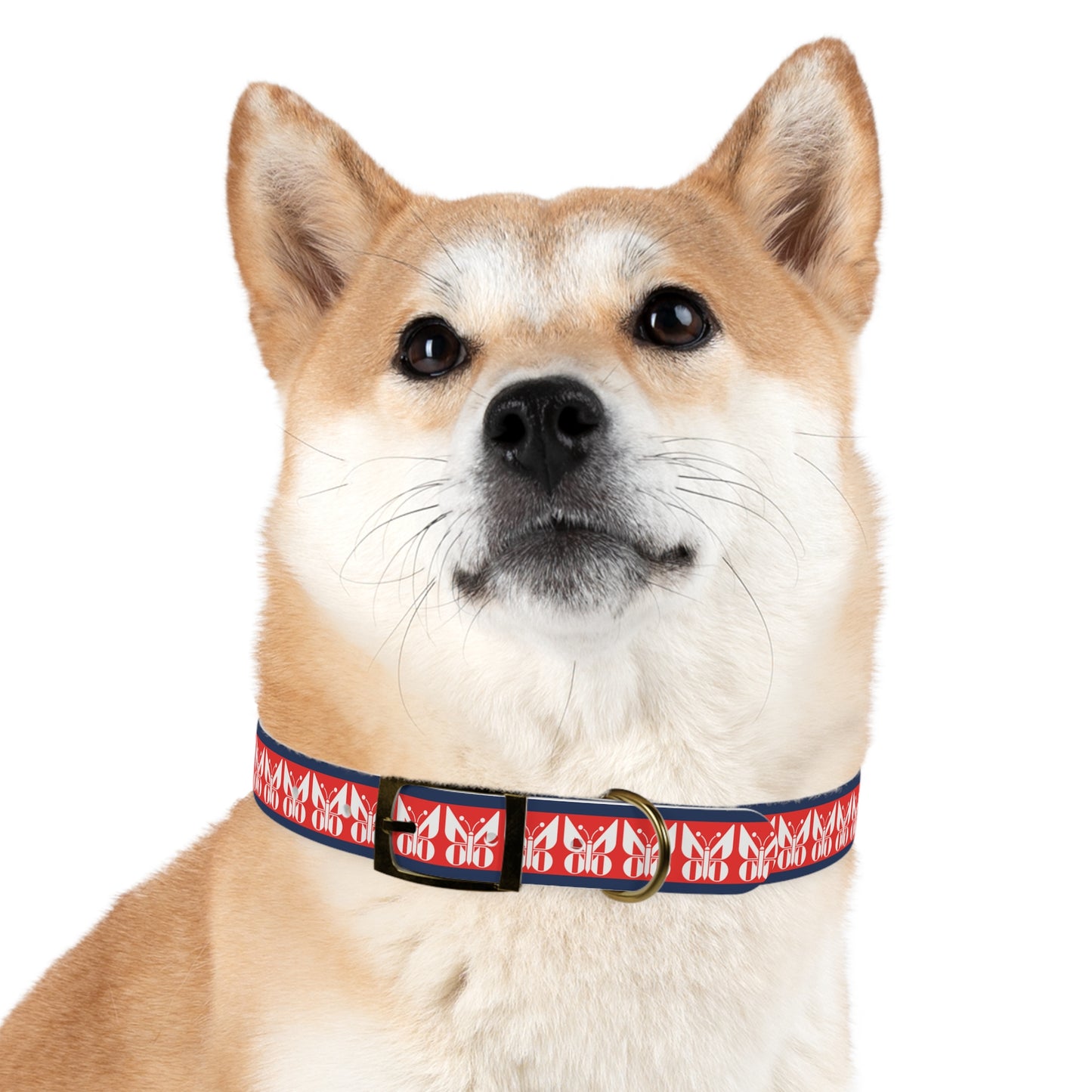 Monarch Dog Collar