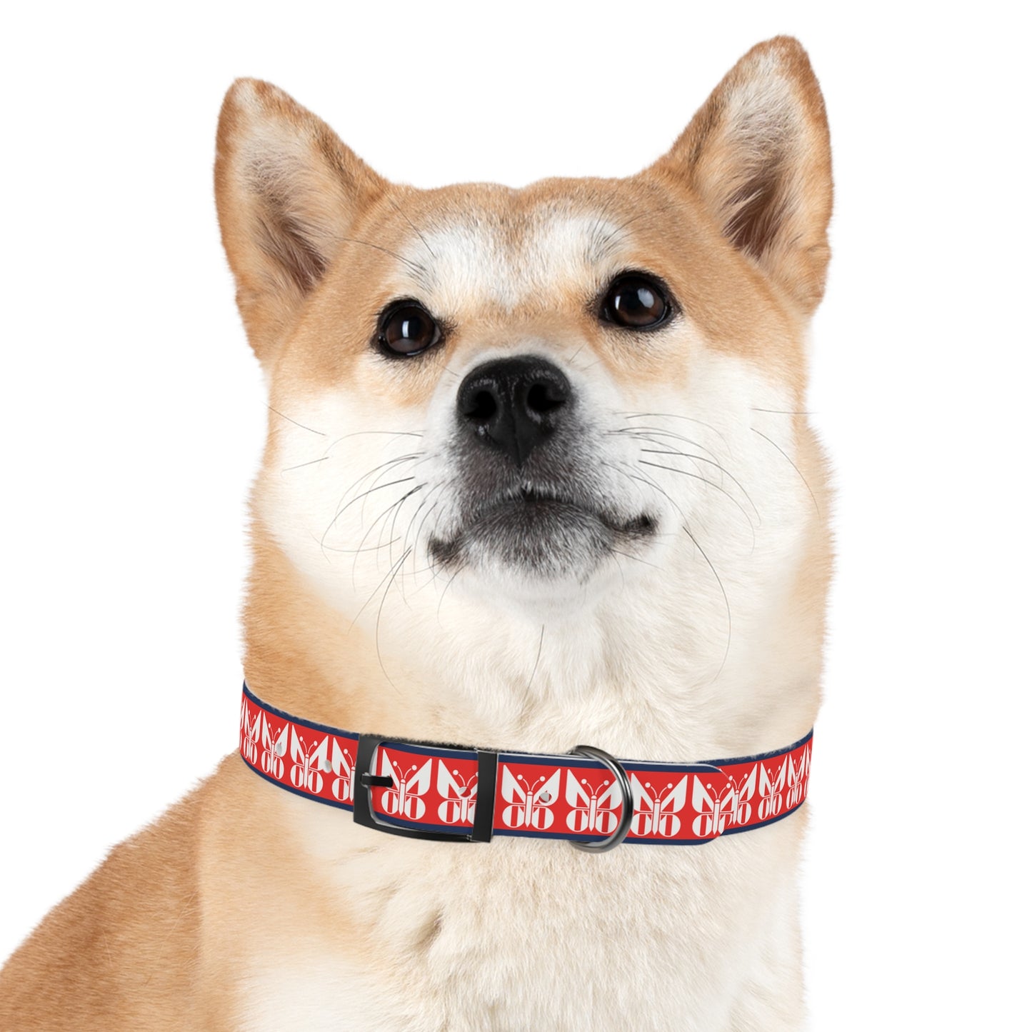 Monarch Dog Collar