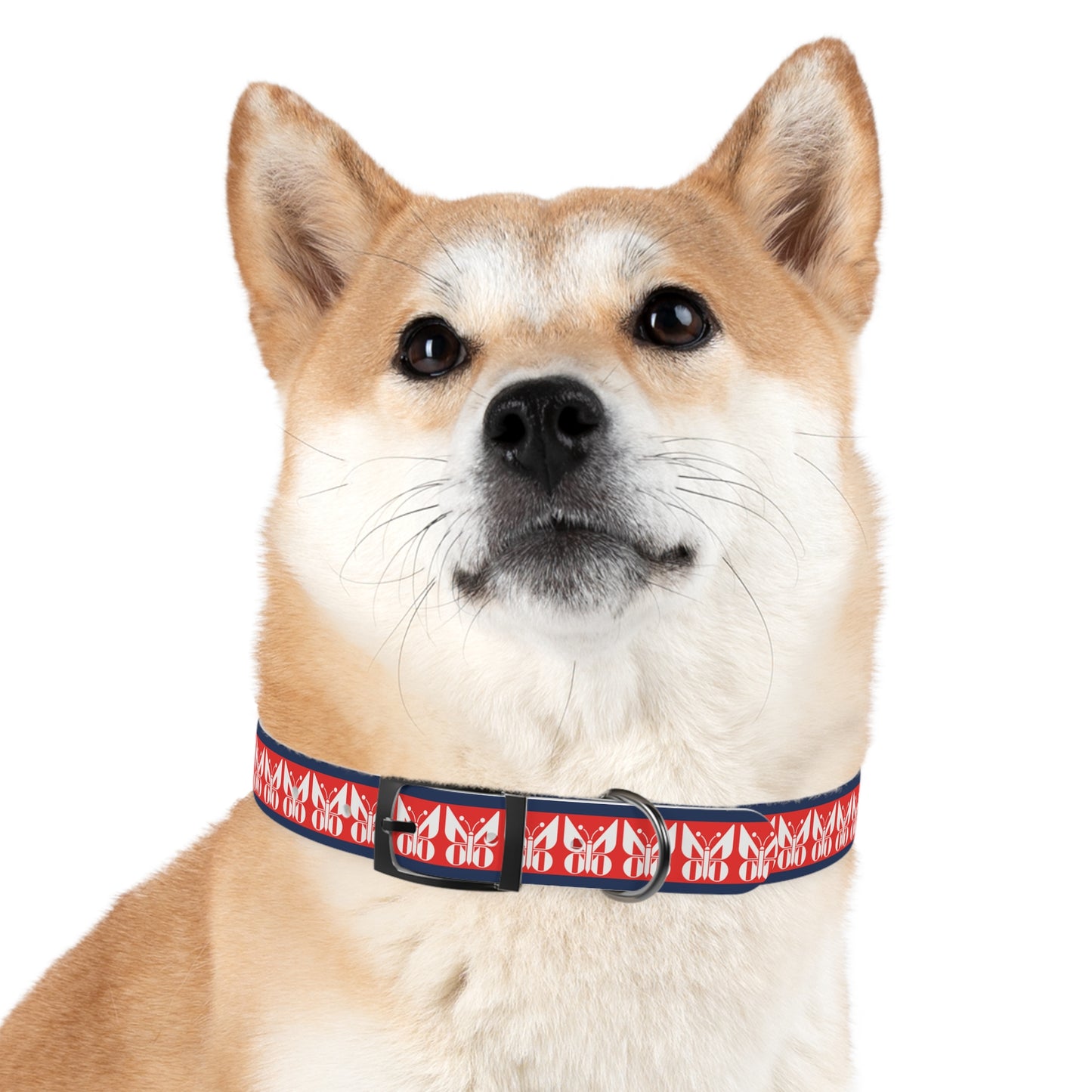 Monarch Dog Collar