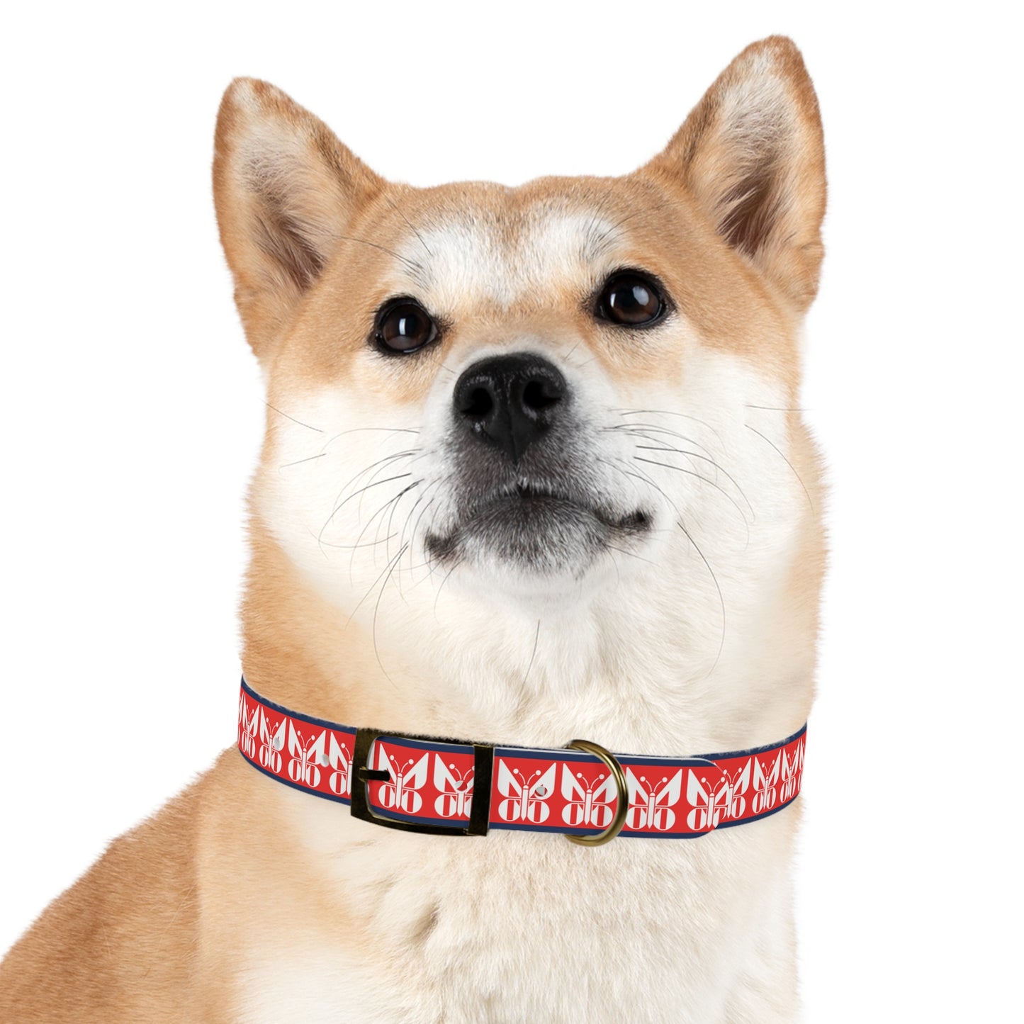 Monarch Dog Collar